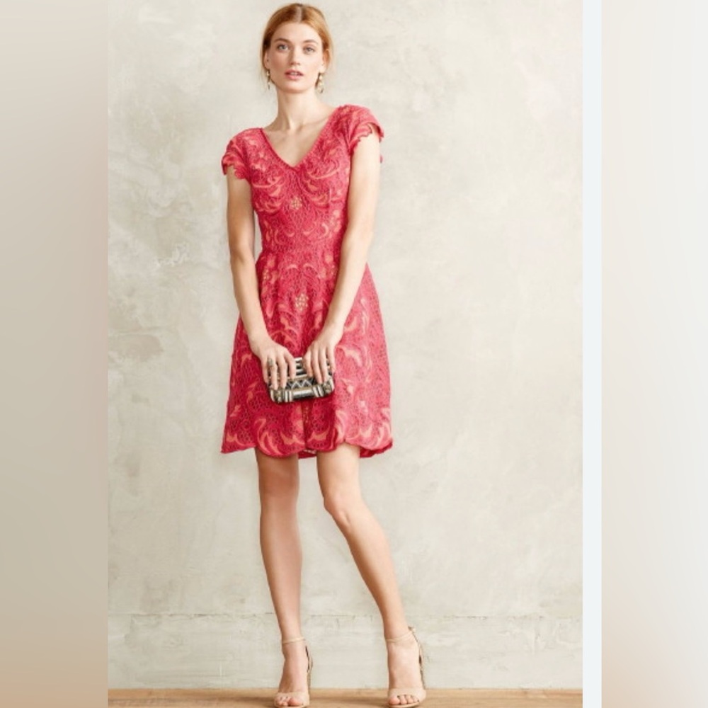 Embroidered Lace Baraschi Dress